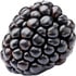 Blackberry