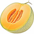 Cantaloupe