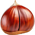 Chestnut