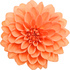 Dahlia
