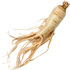 Ginseng