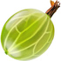 Gooseberry