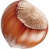 Hazelnut