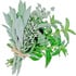 Herbs