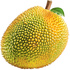 Jackfruit