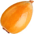 Loquat
