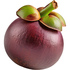 Mangosteen