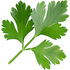 Parsley