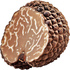 Truffle
